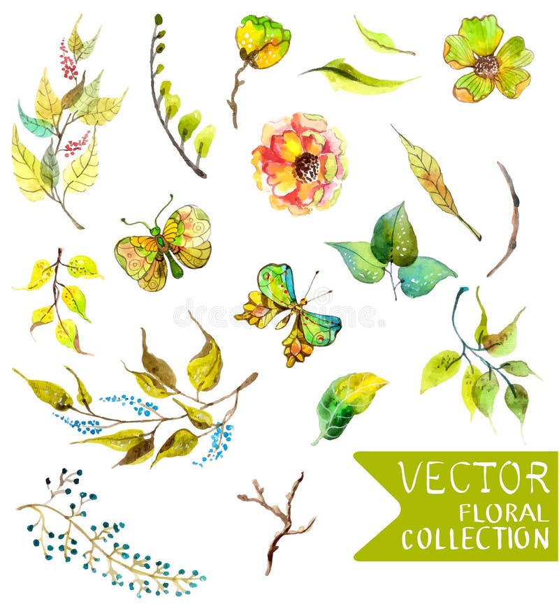 La acuarela florece la colección para diverso diseño stock de ilustración La acuarela florece la colección para diverso diseño stock de ilustración