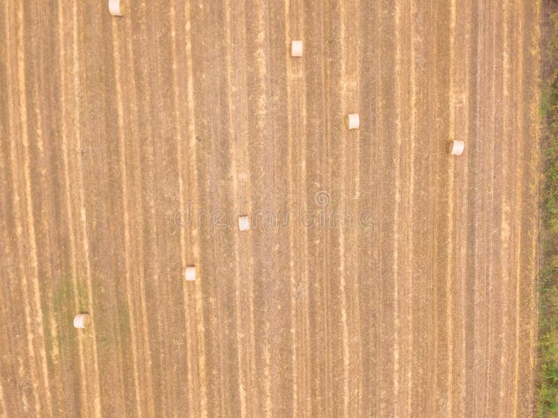 La bala vertical de la visión superior hace heno en granja del maíz después de cosecha en Tejas, imagen de archivo La bala vertical de la visión superior hace heno en granja del maíz después de cosecha en Tejas, imagen de archivo
