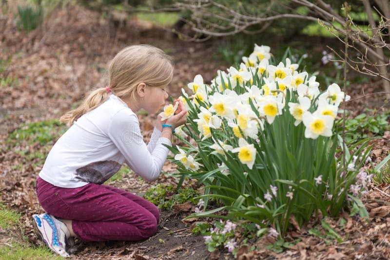 La bambina sta fiutando il fiore del narciso in un parco in primavera fotografie stock libere da diritti La bambina sta fiutando il fiore del narciso in un parco in primavera fotografie stock libere da diritti