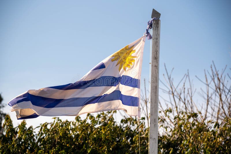 1,505 Bandera De Uruguay Fotos de stock - Fotos libres de regalías de  Dreamstime