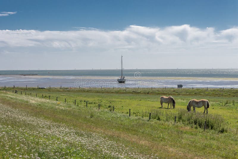 La bassa marea di Vlieland fotografia stock La bassa marea di Vlieland fotografia stock