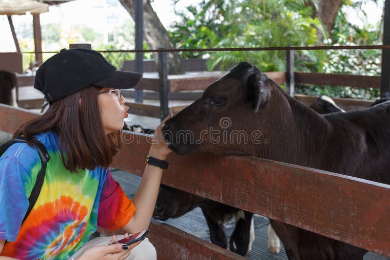 La bella donna asiatica è amore di bacio per la mucca del bambino fotografia stock La bella donna asiatica è amore di bacio per la mucca del bambino fotografia stock