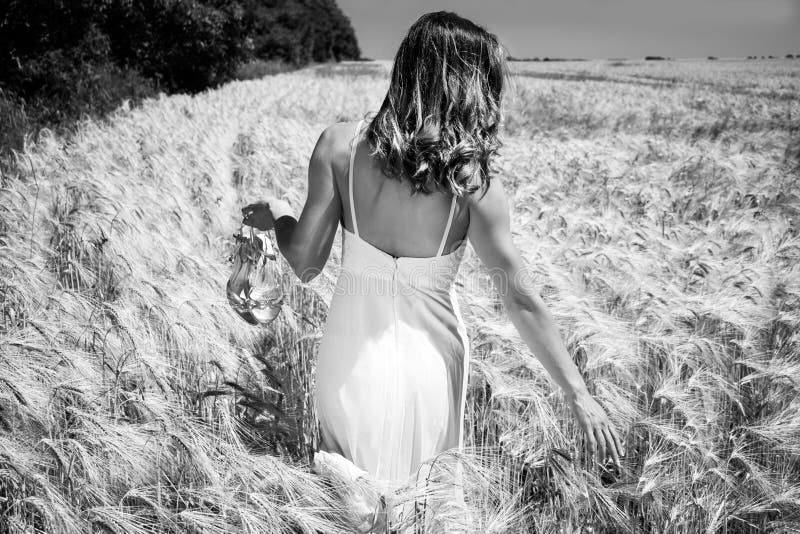 La bella donna, sposa ha camminato tramite le scarpe dell'argento della tenuta del campo di grano un giorno soleggiato del ` s de immagini stock La bella donna, sposa ha camminato tramite le scarpe dell'argento della tenuta del campo di grano un giorno soleggiato del ` s de immagini stock