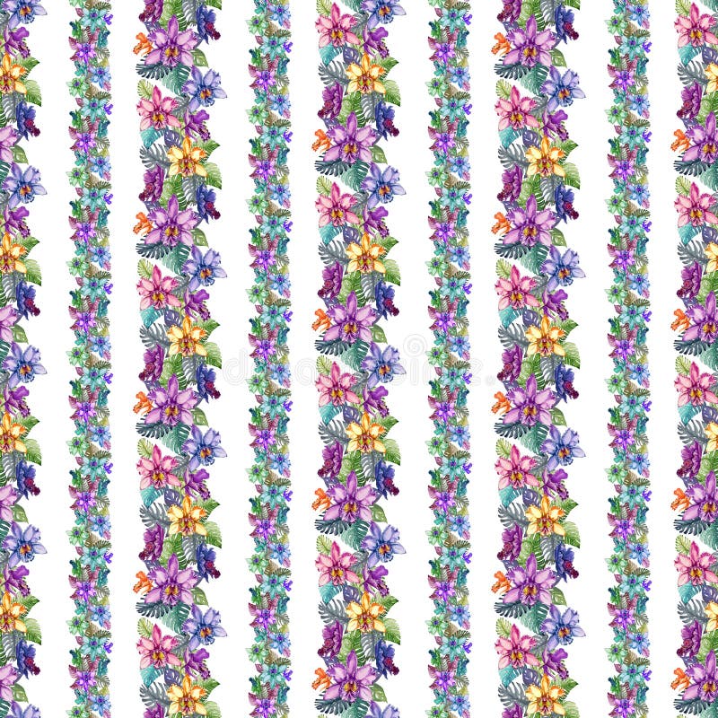 La bella orchidea fiorisce e il monstera lascia nelle linee rette strette su fondo bianco Modello floreale tropicale senza cucitu royalty illustrazione gratis La bella orchidea fiorisce e il monstera lascia nelle linee rette strette su fondo bianco Modello floreale tropicale senza cucitu royalty illustrazione gratis