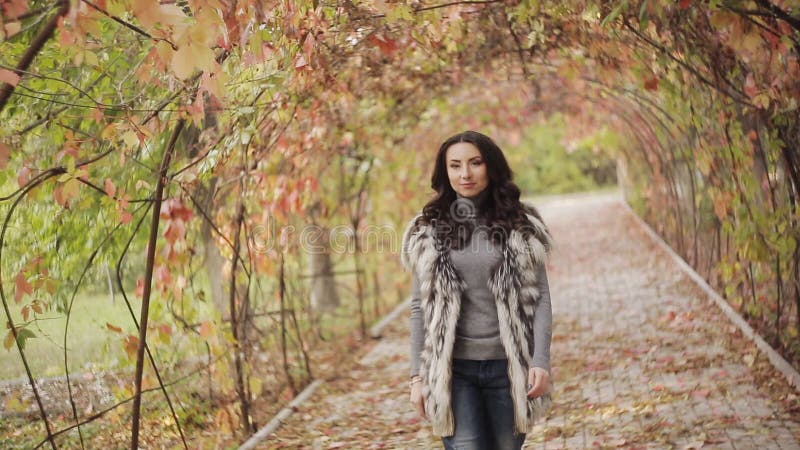 La bella ragazza castana cammina nel parco di autunno