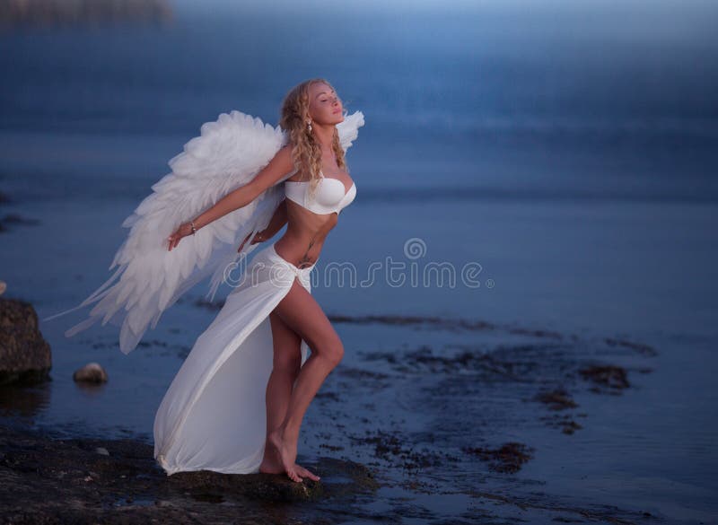 La bella ragazza con le ali fotografia stock libera da diritti La bella ragazza con le ali fotografia stock libera da diritti