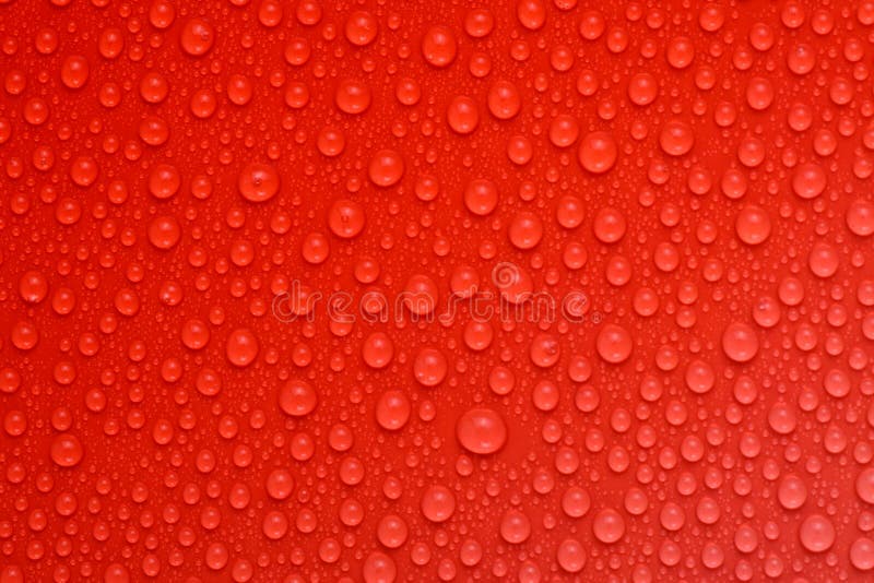Beautiful water drops on red background. Beautiful water drops on red background