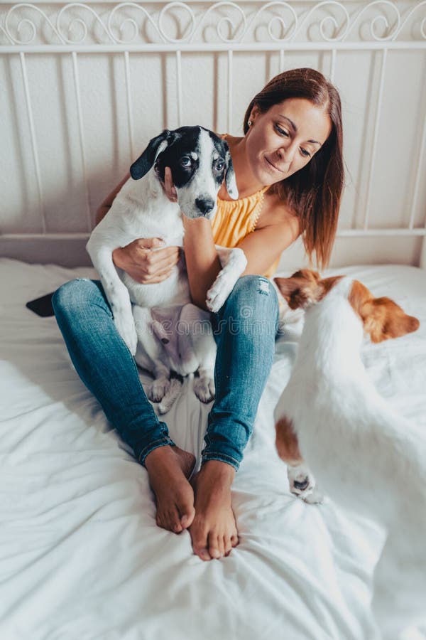 La belle femme avec salut de deux chiens les dans le lit Un chiot de Labrador et un Jack Russell photographie stock La belle femme avec salut de deux chiens les dans le lit Un chiot de Labrador et un Jack Russell photographie stock