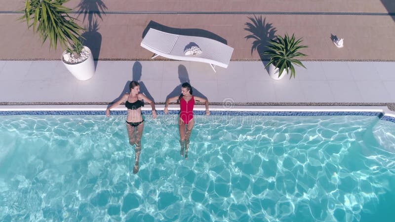 La belle femme d'amis dans le maillot de bain se reposent dans la piscine bleue des vacances d'été