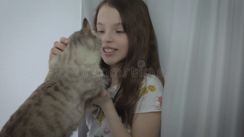 La belle petite fille communique doucement avec votre chat aimé à la fenêtre