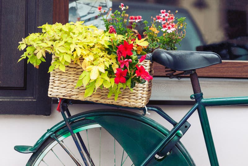 La bicicletta d'annata con il canestro pieno di fioritura fiorisce immagine stock libera da diritti La bicicletta d'annata con il canestro pieno di fioritura fiorisce immagine stock libera da diritti