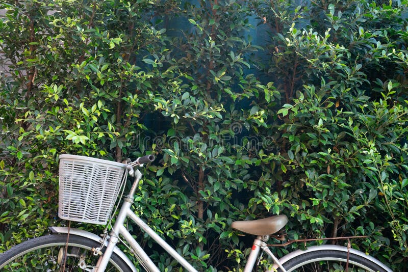 bicyclette en mosaique avec panier de fleurs