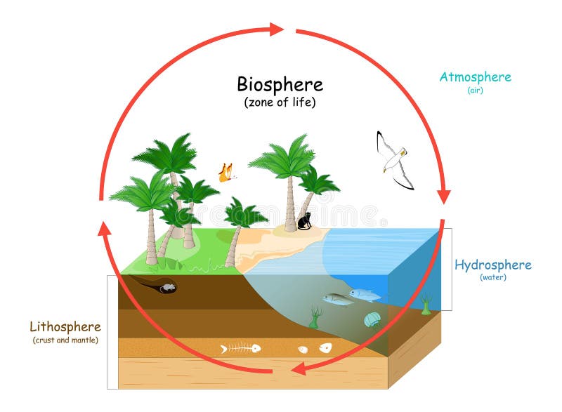 Hidrosfera ¿Qué es