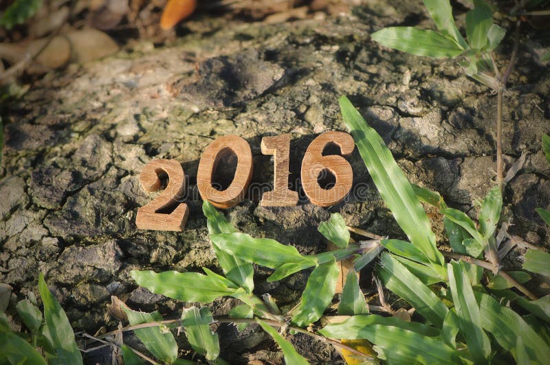 Happy New Year 2016 ,nature concept and wood number idea. Happy New Year 2016 ,nature concept and wood number idea