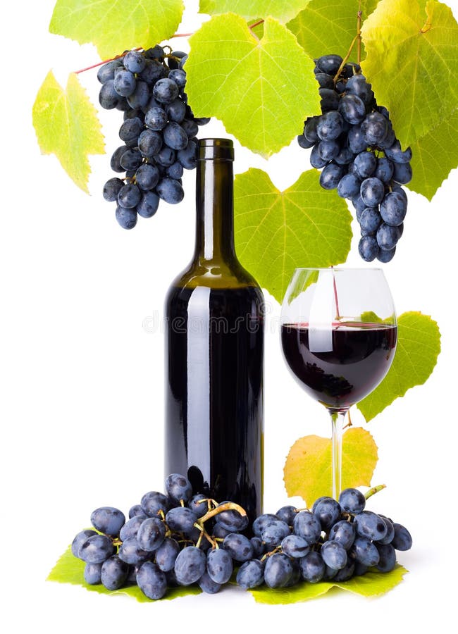 La botella y el vidrio de la uva de la pizca del vino rojo se agrupa fotografía de archivo libre de regalías La botella y el vidrio de la uva de la pizca del vino rojo se agrupa fotografía de archivo libre de regalías