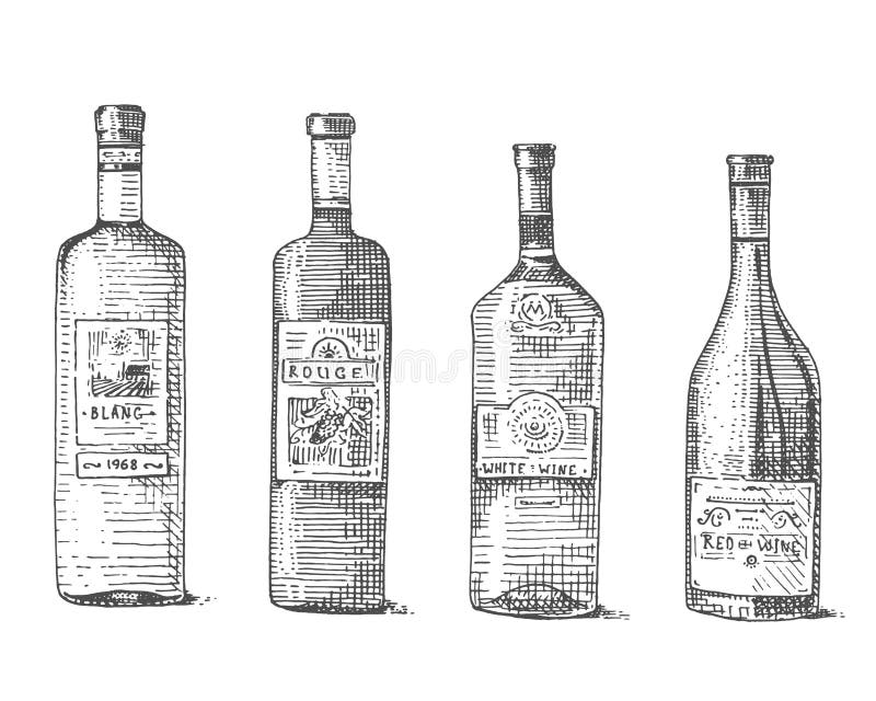 La bouteille de vin tirée par la main a gravé la vieille illustration de regard de vintage illustration libre de droits La bouteille de vin tirée par la main a gravé la vieille illustration de regard de vintage illustration libre de droits