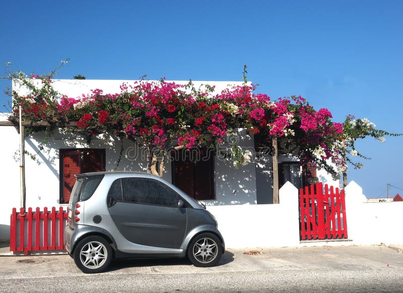 La buganvillea greca tipica della casa di stile dell'isola di Sifnos fiorisce A fotografia stock La buganvillea greca tipica della casa di stile dell'isola di Sifnos fiorisce A fotografia stock
