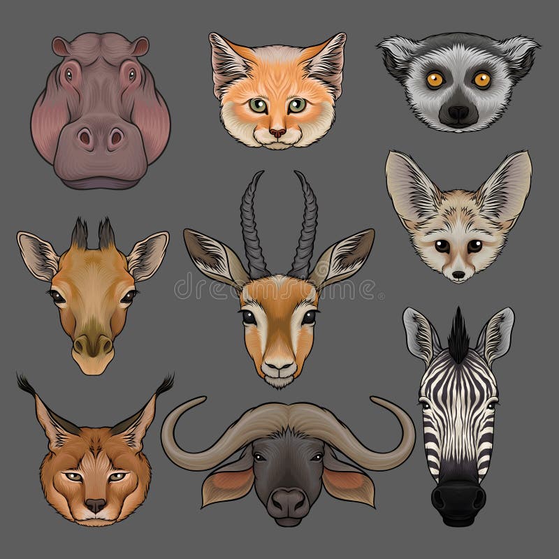 La cabeza de animales salvajes fijó, retrato de la mano del hipopótamo, del lince, del zorro, del fenech, del lémur, de la jirafa stock de ilustración La cabeza de animales salvajes fijó, retrato de la mano del hipopótamo, del lince, del zorro, del fenech, del lémur, de la jirafa stock de ilustración