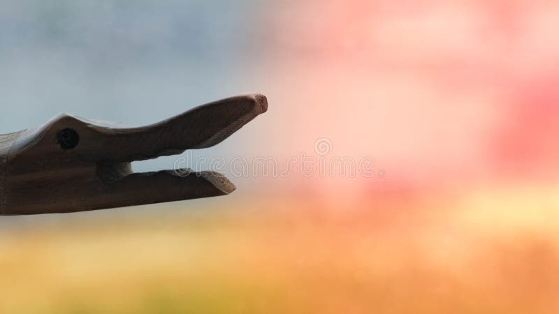 La cabeza de un lagarto de madera al atardecer fotos de archivo