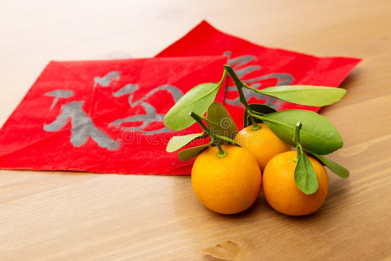 La calligrafia cinese del nuovo anno ed il kumquat, significato di parola è buona l