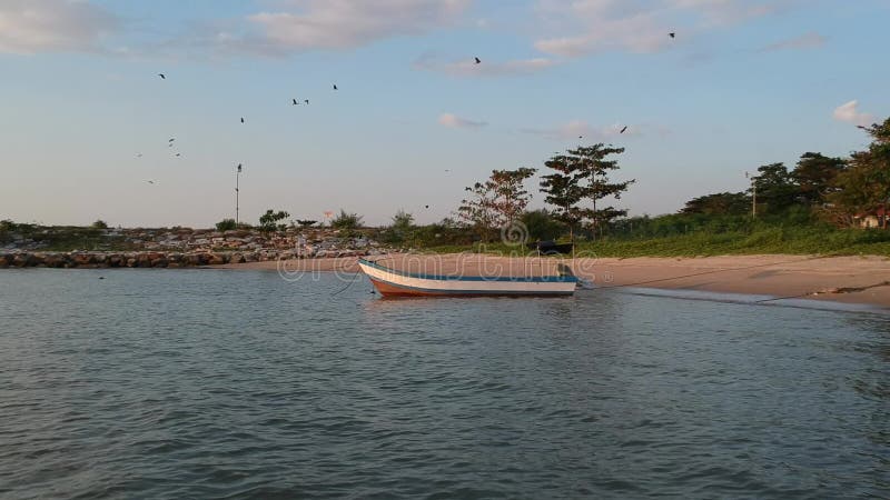 La caméra vidéo aérienne de bourdon labourent avancer à un bateau banque de vidéos