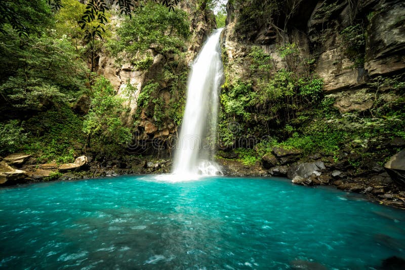 Una veramente spettacolare cascata nel profondo della giungla, foresta Pluviale del Costa Rica.