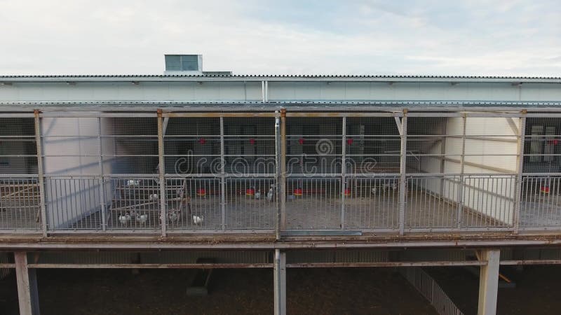 La casa de gallina metálica espaciosa construyó a la derecha sobre el corral para las ovejas y los corderos