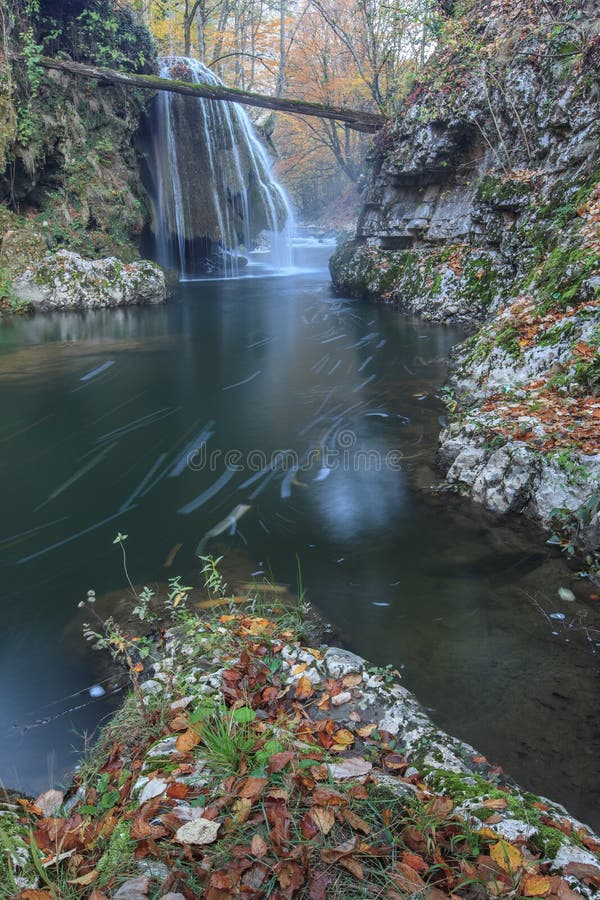 Download La Cascade De Bigar Tombe Dans Des Gorges Parc National, Roumanie De Nera Beusnita Image stock - Image du forêt, scénique: 45350999