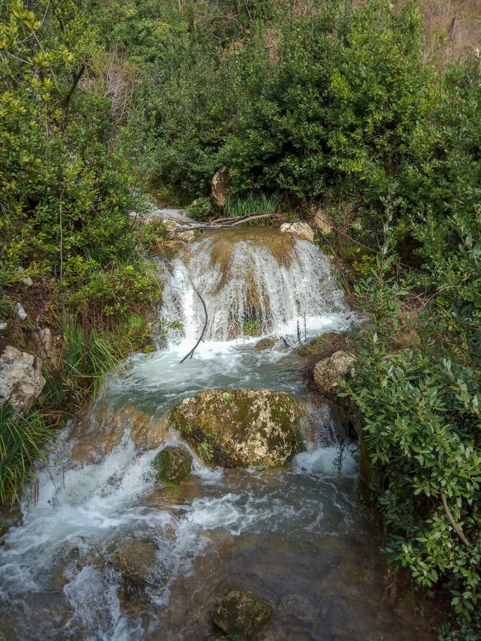 La cascata precipita a cascata gi? il lato della montagna sopra muschio ha coperto le rocce in mezzo degli alberi e dei cespugli fotografia stock La cascata precipita a cascata gi? il lato della montagna sopra muschio ha coperto le rocce in mezzo degli alberi e dei cespugli fotografia stock