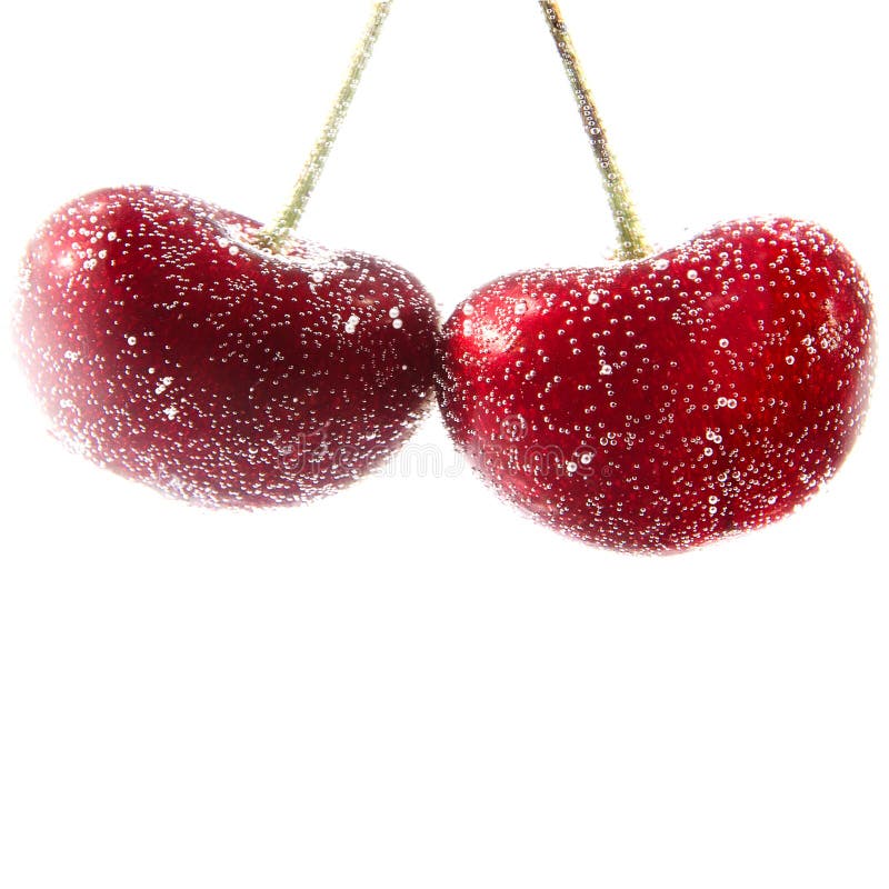 La cerise savoureuse mûre couverte de bulles arrosent dans l'eau d'isolement sur le fond blanc image libre de droits La cerise savoureuse mûre couverte de bulles arrosent dans l'eau d'isolement sur le fond blanc image libre de droits