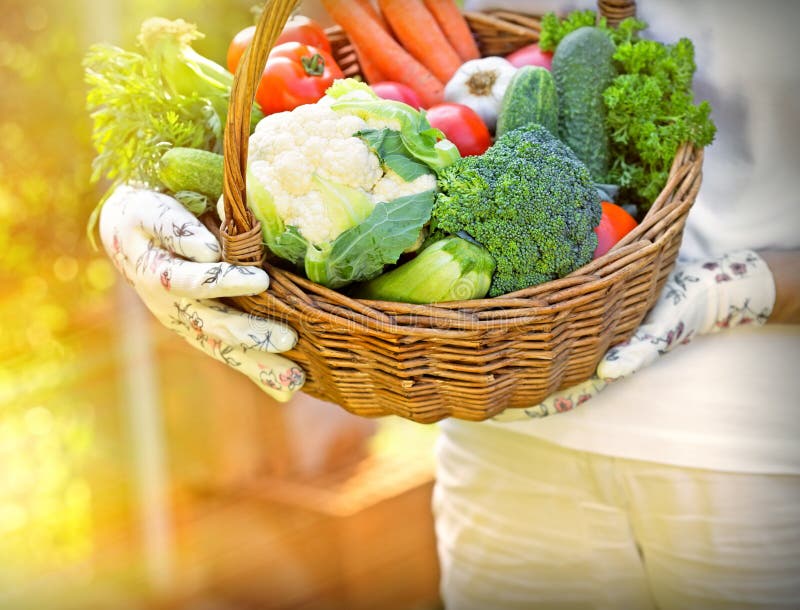 La cesta es llena de verduras orgánicas frescas imagenes de archivo La cesta es llena de verduras orgánicas frescas imagenes de archivo