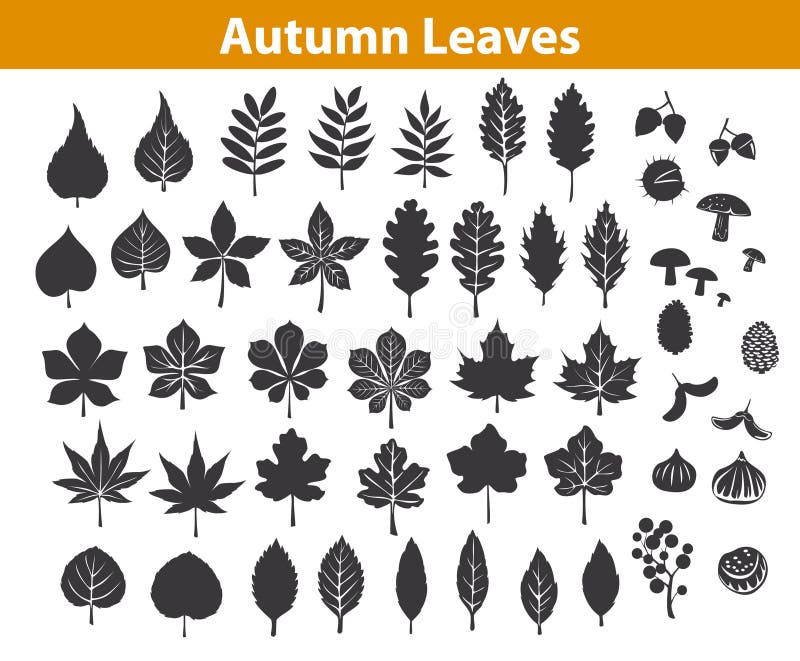 La chute d'automne laisse des silhouettes réglées dans la couleur noire illustration de vecteur