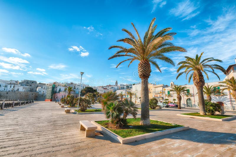 La città centrale storica di bella città ha chiamato Vieste immagine stock libera da diritti La città centrale storica di bella città ha chiamato Vieste immagine stock libera da diritti