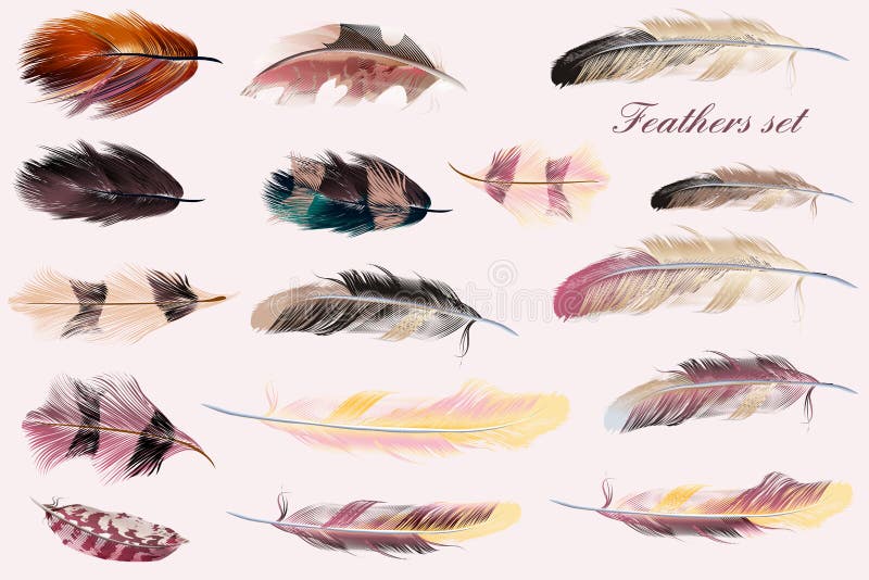 Beautiful collection of vector feathers in pink soft colors. Fashion illustration. Beautiful collection of vector feathers in pink soft colors. Fashion illustration