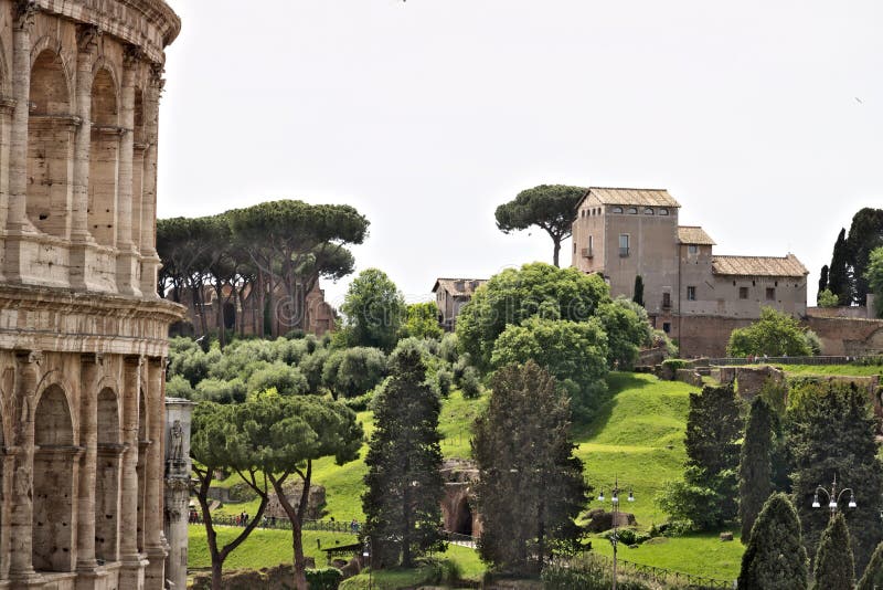 La collina del palatino è nella priorità alta un dettaglio del Colosseum La collina è un grande museo all'aperto di Roma antica d immagini stock libere da diritti La collina del palatino è nella priorità alta un dettaglio del Colosseum La collina è un grande museo all'aperto di Roma antica d immagini stock libere da diritti