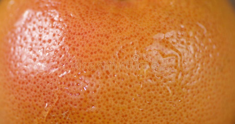 La corteza de pomelo goteando gotas de agua. almacen de metraje de vídeo
