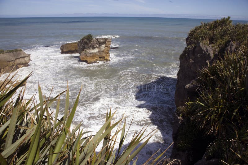 La crepe oscila Nueva Zelandia fotografía de archivo libre de regalías