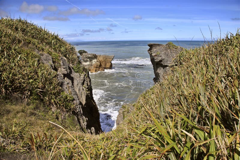 La crepe oscila Nueva Zelandia fotos de archivo