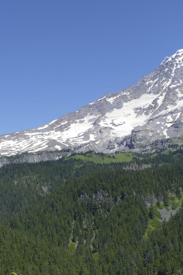 La cumbre volcánica del Mt más lluviosa emerge de bosque de la conífera imágenes de archivo libres de regalías La cumbre volcánica del Mt más lluviosa emerge de bosque de la conífera imágenes de archivo libres de regalías