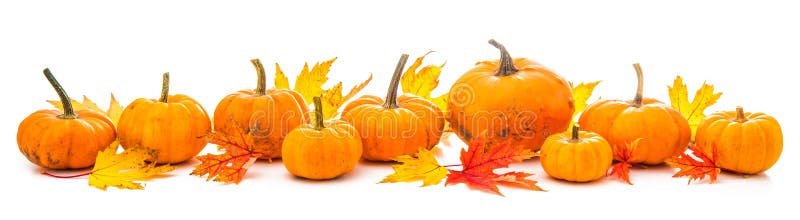 La decorazione di autunno ha sistemato con le foglie e le zucche asciutte i immagini stock libere da diritti La decorazione di autunno ha sistemato con le foglie e le zucche asciutte i immagini stock libere da diritti