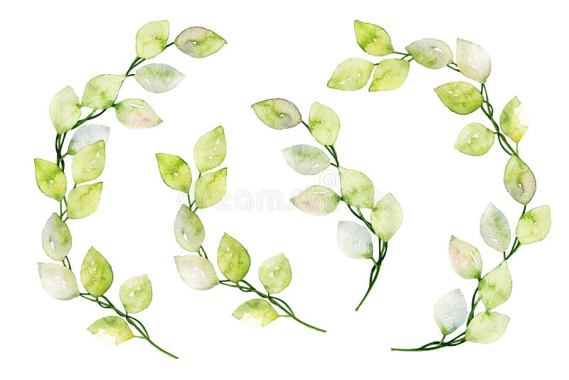 La direction générale de la verdure laisse aquarelle brindilles les herbes florales de forêt végétale isolés sur blanc pour épouse photo libre de droits