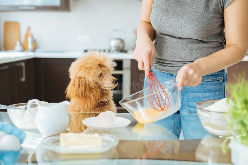 Young woman with her dog is cooking on the kitchen . Young woman with her dog is cooking on the kitchen .