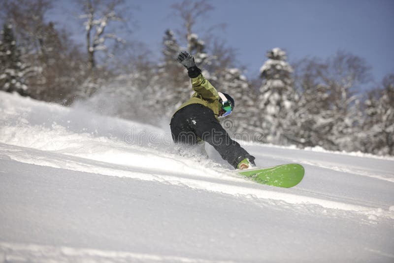 La donna dello Snowboarder gode del freeride sulla neve fresca della polvere fotografia stock La donna dello Snowboarder gode del freeride sulla neve fresca della polvere fotografia stock