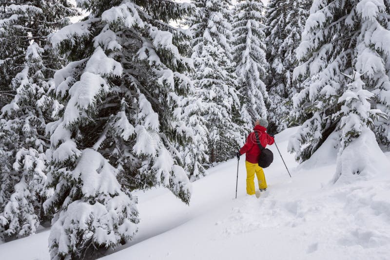La donna sta camminando nelle montagne dell'inverno, vista sbalorditiva piena d'ammirazione immagine stock libera da diritti La donna sta camminando nelle montagne dell'inverno, vista sbalorditiva piena d'ammirazione immagine stock libera da diritti