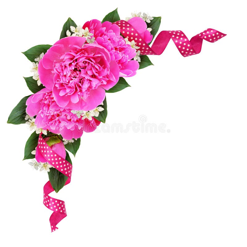 La décoration faisante le coin avec les fleurs et la soie roses de pivoine a repéré le ribbo images libres de droits La décoration faisante le coin avec les fleurs et la soie roses de pivoine a repéré le ribbo images libres de droits
