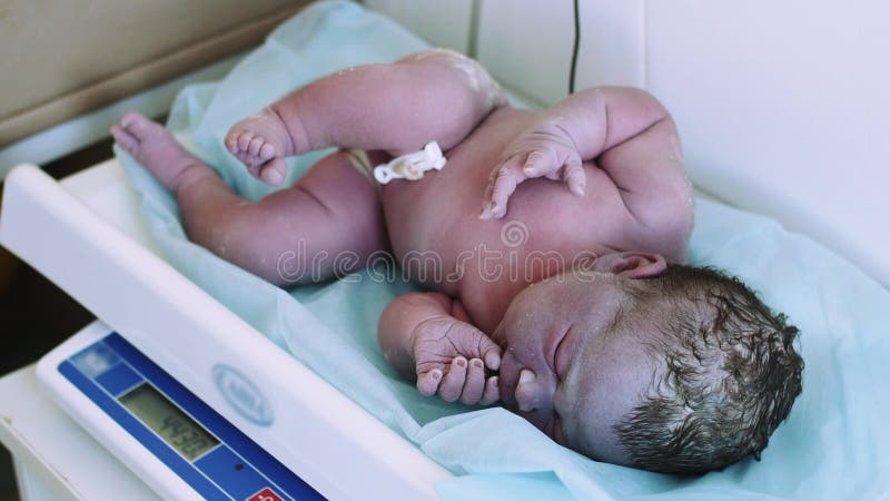 La Enfermera En Guantes Pesa Al Pequeño Bebé Recién En Escalas En El Hospital De Maternidad Después De Nacimiento Clínica Almacen De Video - Vídeo de guantes, tenencia: 71851801