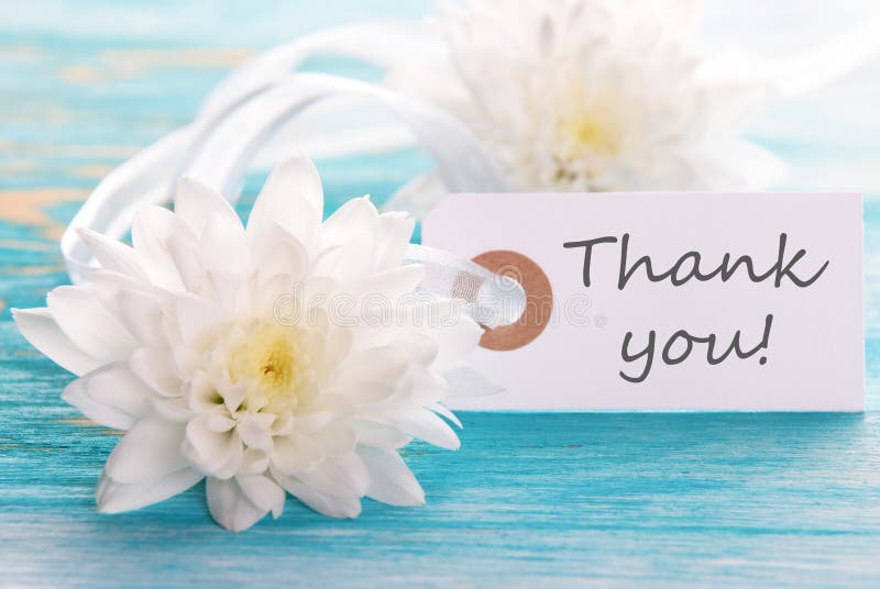 Label with Thank You on it on a Wooden Background with white Flowers. Label with Thank You on it on a Wooden Background with white Flowers