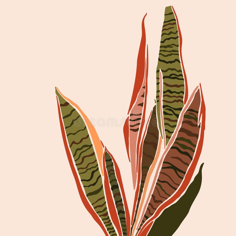 La fabbrica di sansevieria in stile minimalista alla moda. siluetta di una pianta. collage illustrativo vettoriale royalty illustrazione gratis
