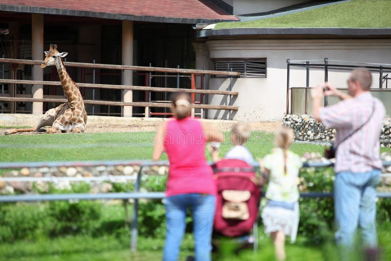 La familia introduce y toma la jirafa de los cuadros en parque zoológico fotos de archivo libres de regalías La familia introduce y toma la jirafa de los cuadros en parque zoológico fotos de archivo libres de regalías