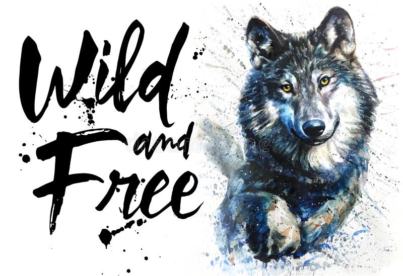 La faune prédatrice d'animaux d'aquarelle de loup, sauvage et libèrent, roi de la forêt, copie pour le T-shirt